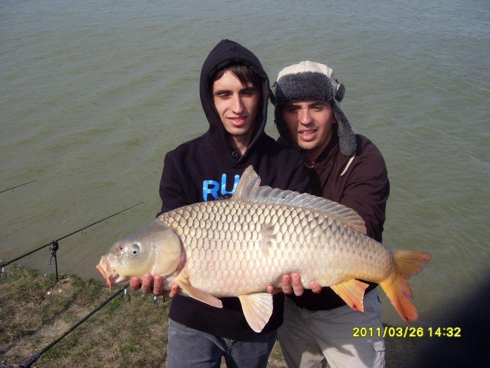 Crapturi - 3916511073662327121031470712277n.jpg